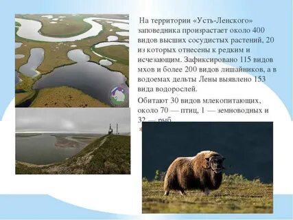 Заповедник усть
