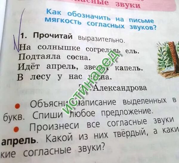 Ель подчеркните в словах. На солнышке согрелась ель подтаяла сосна подчеркнуть. На солнышке согрелась ель подчеркнуть мягкие согласные. Добавить слова в предложение. На солнышке согрелась. Сосна мягкие согласные в слове.