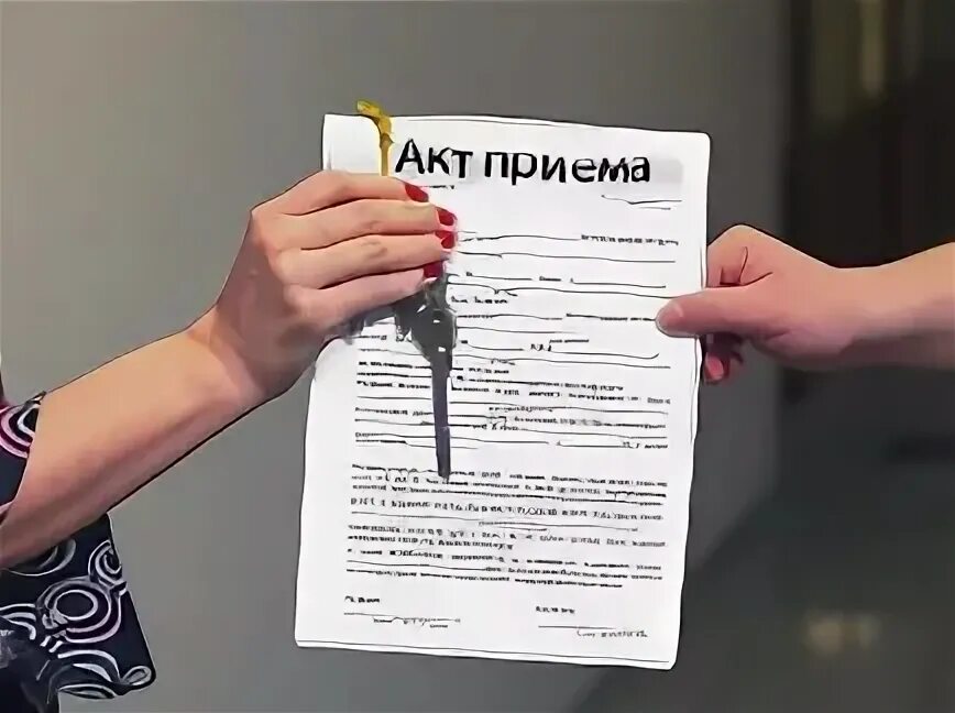 Квартира от застройщика документы