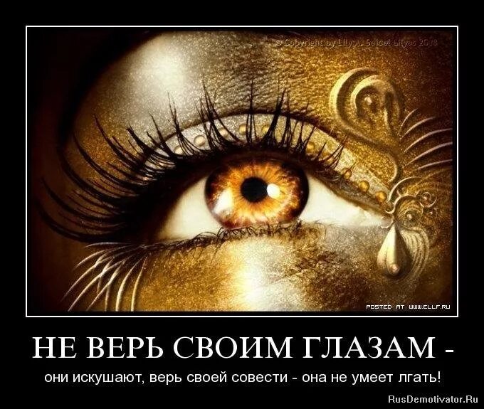 Я глазам не верю и скажу. Верь только своим глазам. глаз истины. верить своим глазам. демотиваторы про глаза.