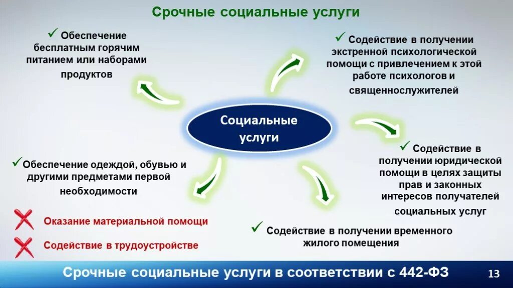 Пп о социальном обслуживании. Виды срочных социальных услуг. Срочные социальные услуги. ФЗ 442. Социальные услуги для презентации.