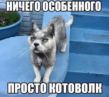Ничего такого особенного