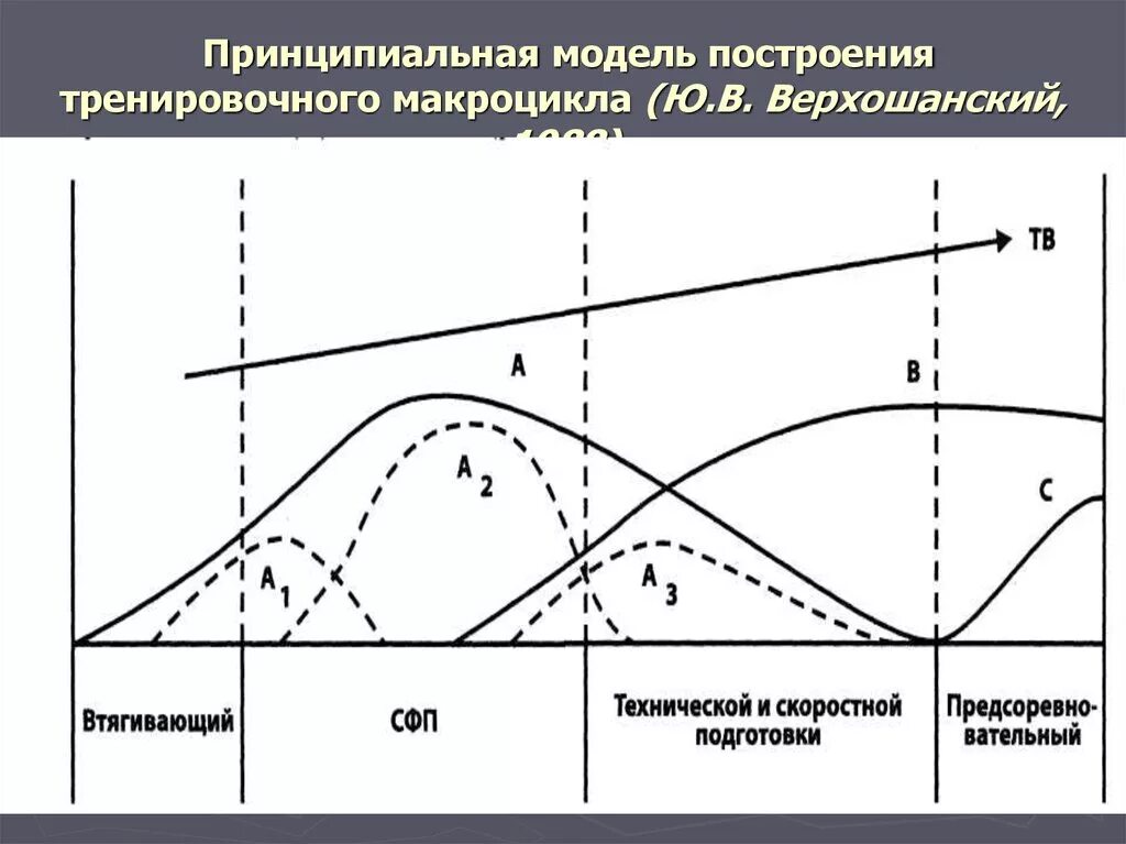 Схема динамики нагрузок в макроциклах. Планирование тренировочного процесса. Планирование тренировочного процесса в микроцикле. Периодизация тренировочного процесса. Циклы подготовки спортсменов