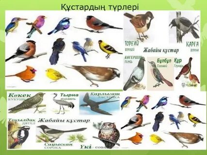 Ер адам бірнеше рет босатады