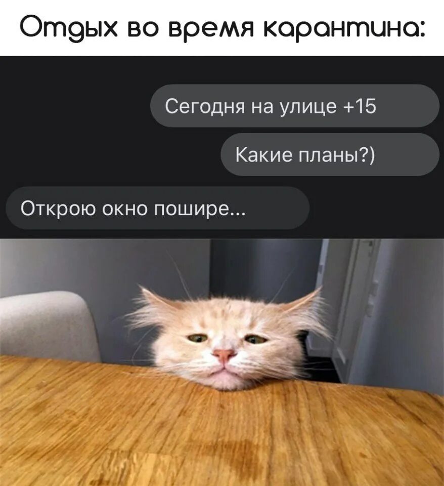 Какие планы на сегодня что ответить