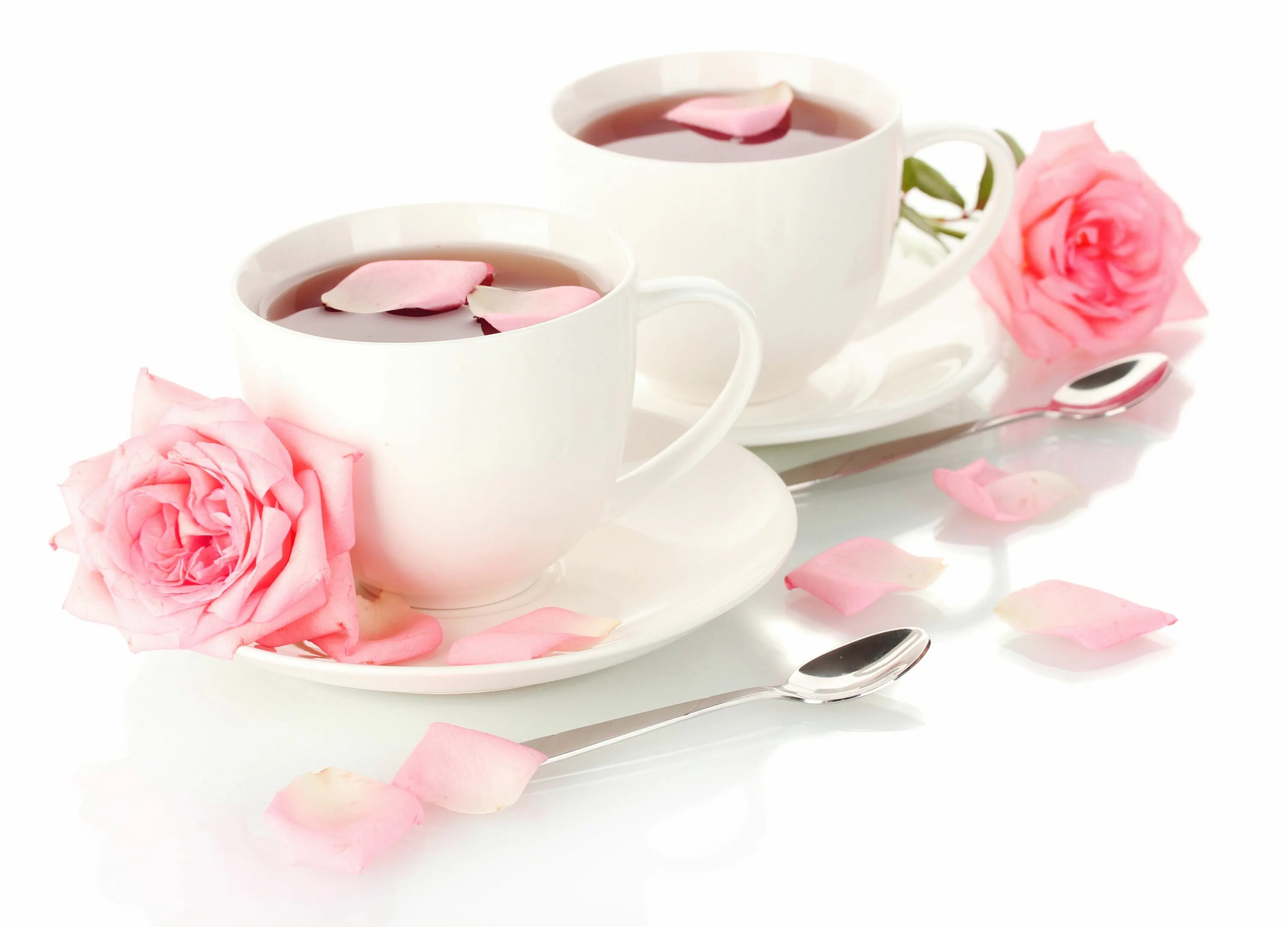 Доброе утро картинки с розами и надписями. Нежное утро. Чай с розой. Чай с цветами. Роза и чашка чая.