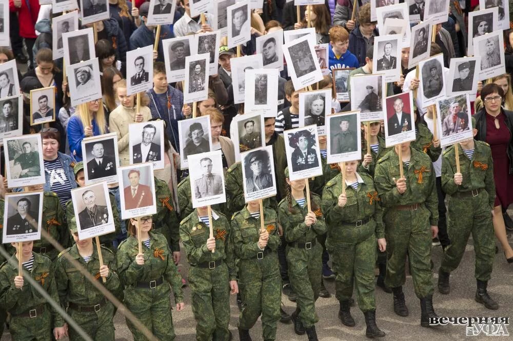 Текст песни течет река бессмертного полка. Река Бессмертного полка. Бессмертный полк Тобольск. Река из Бессмертного полка. Река Бессмертного полка фото.