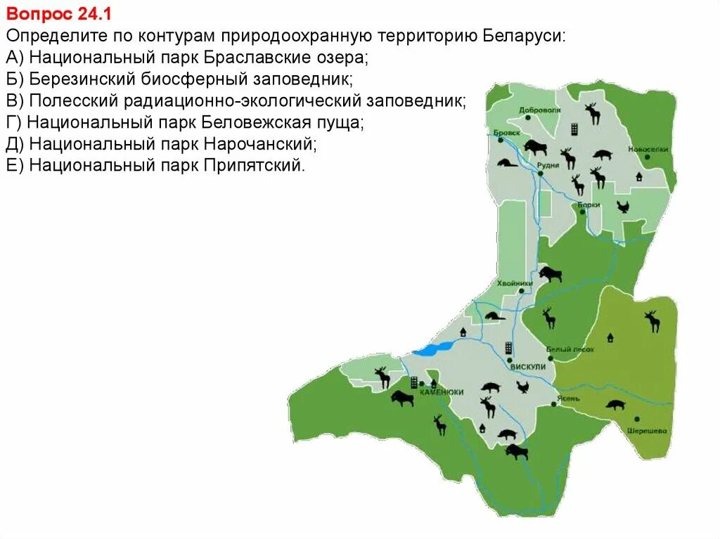 Нац парк Беловежская пуща на карте Беларуси. Беловежская пуща карта заповедника. Беловежская пуща границы заповедника на карте. Белове́жская пуща карта.