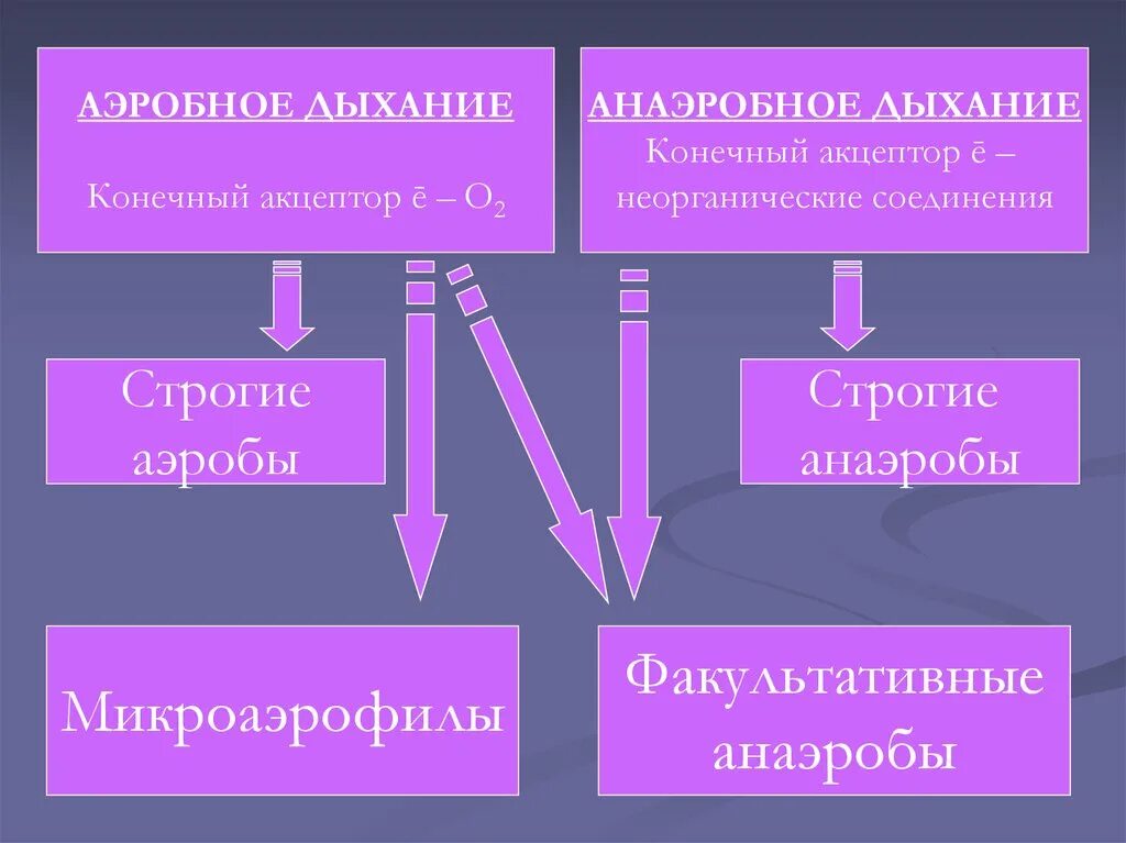 Аэробное дыхание исходные вещества. Аэробное и анаэробное дыхание. Аэробный Тип дыхания. Аэробы анаэробы факультативные анаэробы. Аэробное соединение