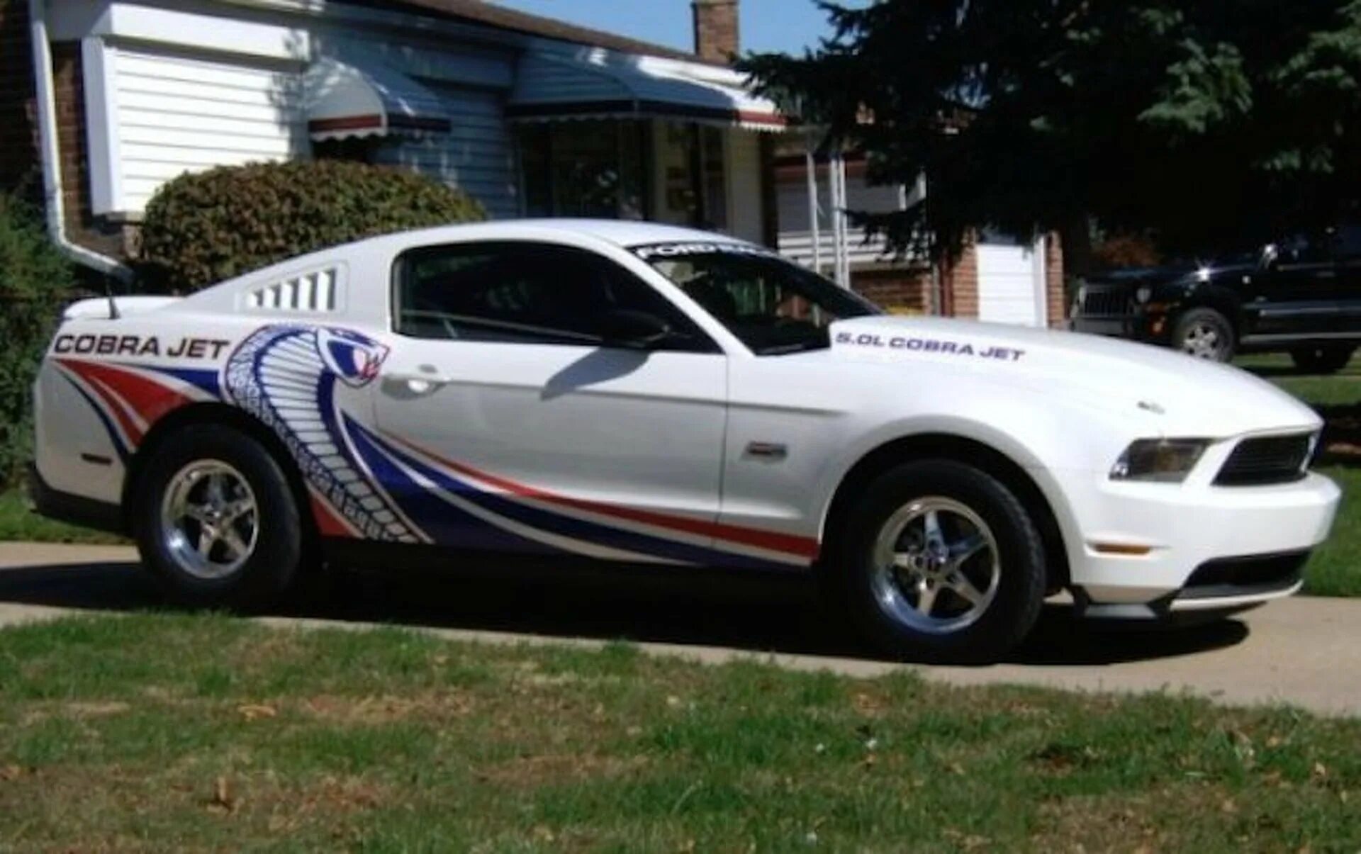 Ford Cobra Jet. Mustang Cobra Jet. Мустанг 2002 Cobra Jet. Мустанг 2004 Cobra Jet. Cobra jet