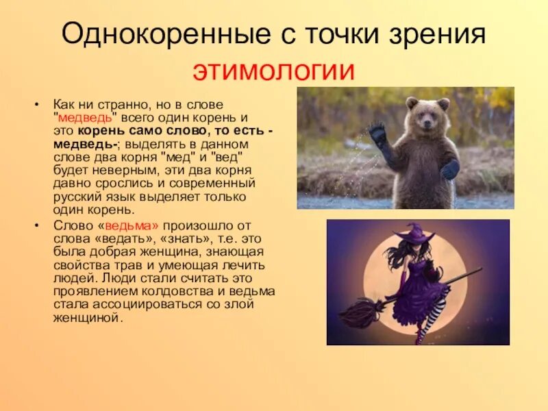 Медведь начало слова. Происхождение слова медведь. Просхождениеслова медведь. Однокоренные слова к слову медведь. Этимология слова медведь.