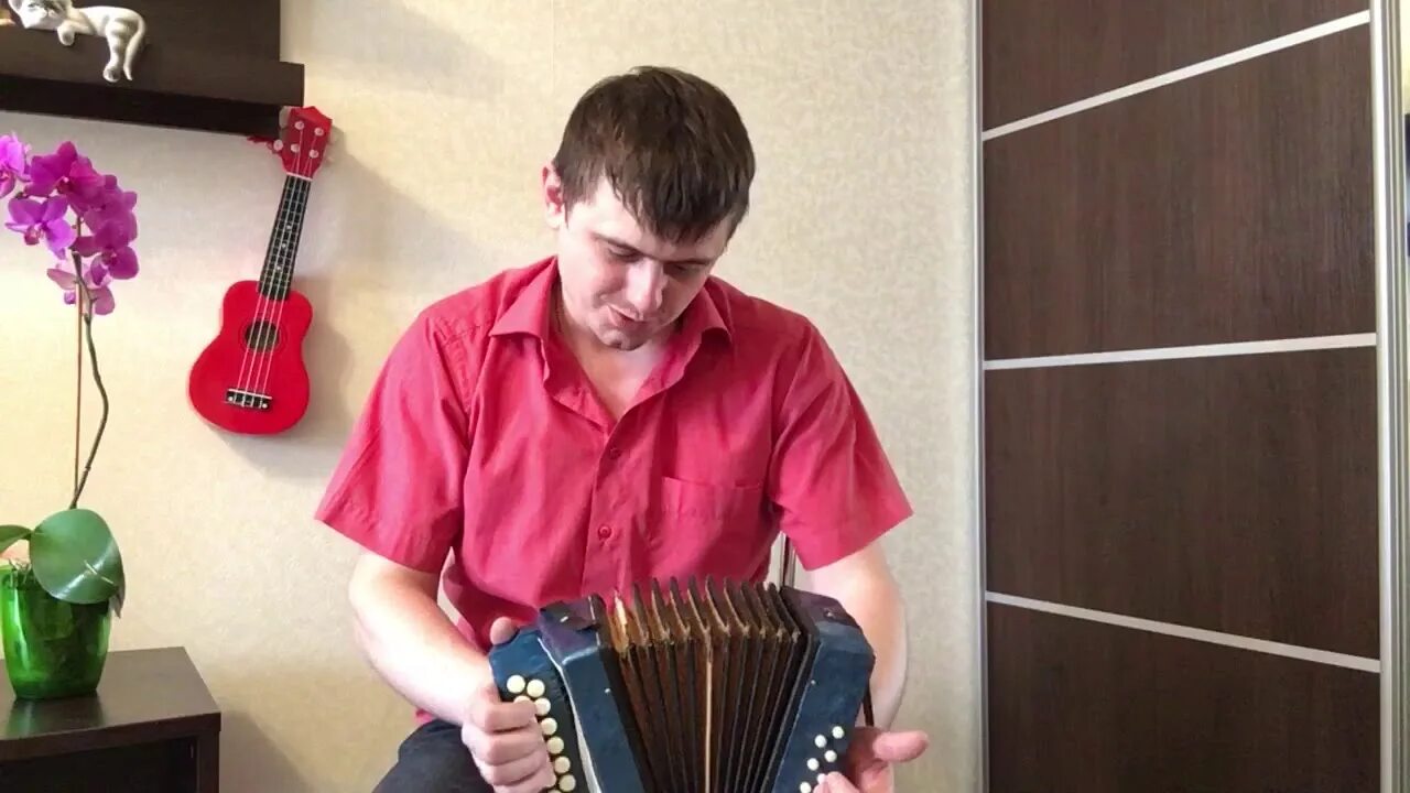 Гармошка гармошечка. Гармонист новосибирск. тульская гармошечка.