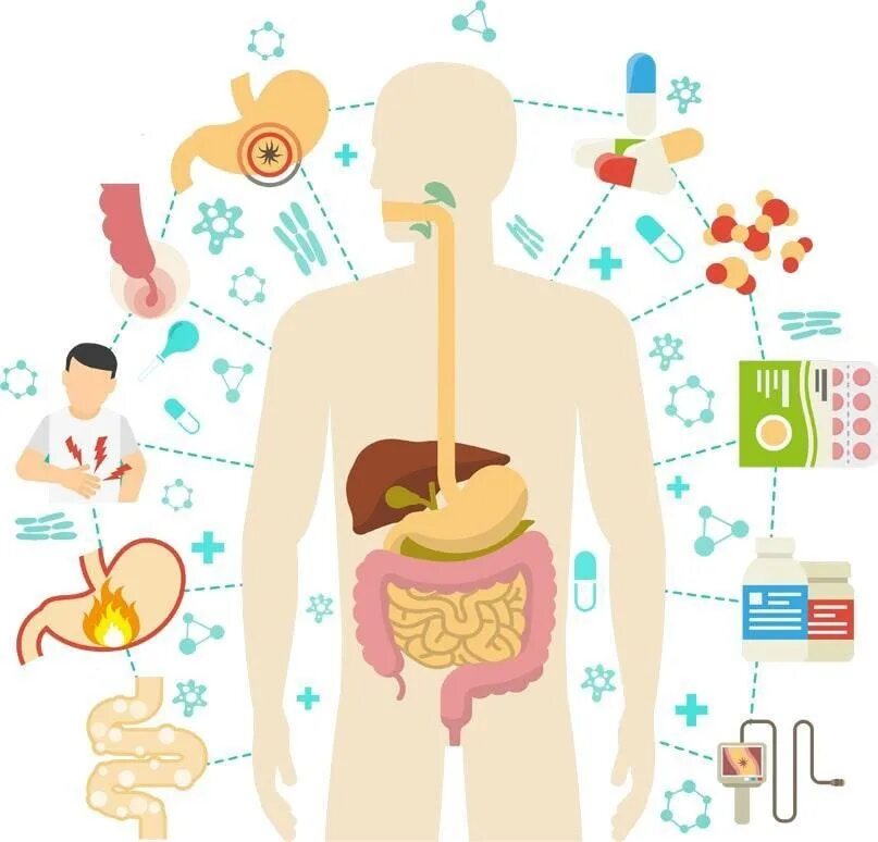 Иллюстрация ЖКТ С заболеваниями. Терапия заболевания ЖКТ. Профилактика заболеваний органов пищеварения. Профилактика заболеваний органов ЖКТ. Фгдм