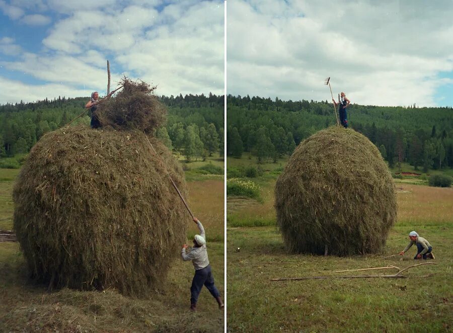 Сколько сена в стогу. Скирда сноп. Скирда омёт копна. Что такое стог Скирда зарод и копна. Сенокос Скирда.