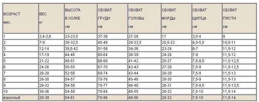 Сколько весит взрослая немецкая. Вес щенка золотистого ретривера по месяцам таблица. Таблица роста щенка золотистого ретривера. Вес щенка лабрадора по месяцам таблица. Таблица веса и роста лабрадора по месяцам.