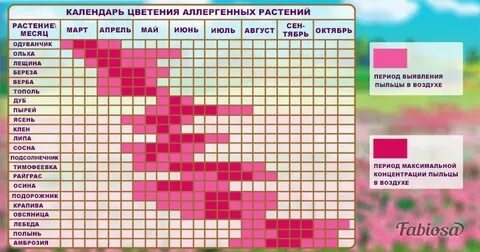 Сколько времени цветут