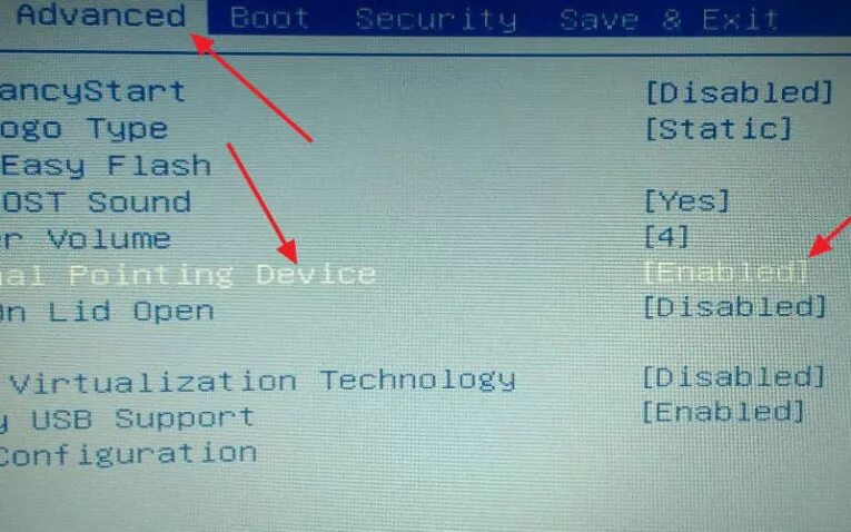 Тачпад bios. Как включить тачпад на ноутбуке asus через биос. тачпад в биосе леново. включение тачпада на ноутбуке asus биос.