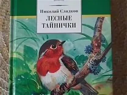 Сладков лесные тайнички читательский дневник. Иллюстрация лесные тайнички. Сладков лесные тайнички читательский дневник. Сладков лесные тайнички читательский дневник. Сладков лесные тайнички читательский дневник.