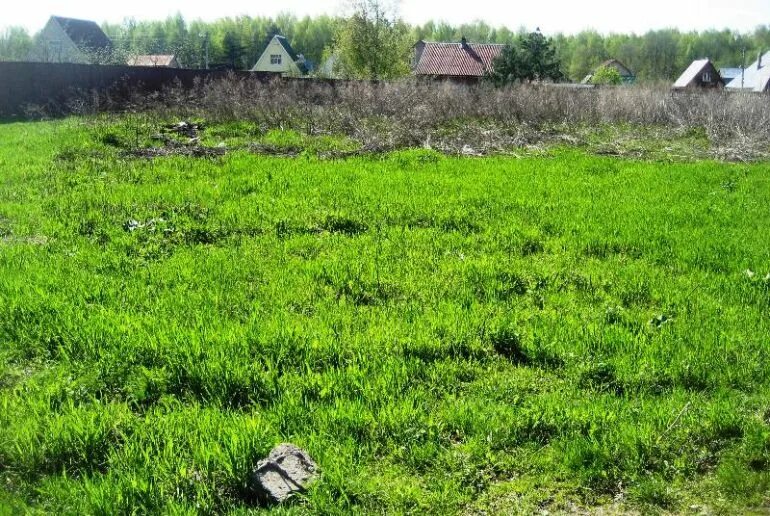 Участки в бобровом. Участки в бобровом