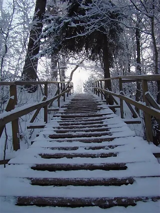 Зимние ступени. Зимний ступеньки. Зимняя лестница. Ночные зимние лестницы. Ненадежная лестница зимой.