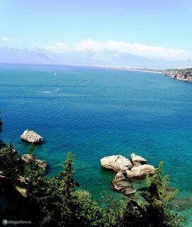 Города турции на побережье черного моря