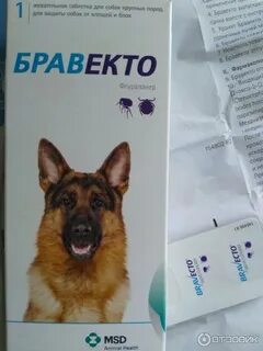 Эффективное средство от клещей для собак крупных