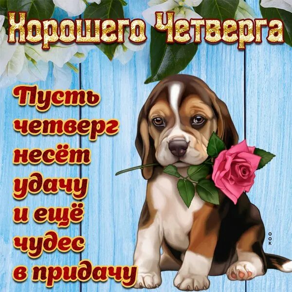 Бесплатные картинки четверг. Поздравление с четвергом и добрым утром. четверг. поздравления с днём четверга. пожелание хорошего четверга прикольные.
