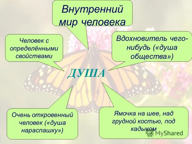 Рассказ душа нараспашку