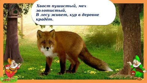 Какое лесное животное не любил пушкин