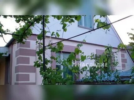 Погода сот колос анапский