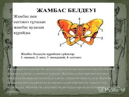 Жыныстық жағымсыз иісті кетіру