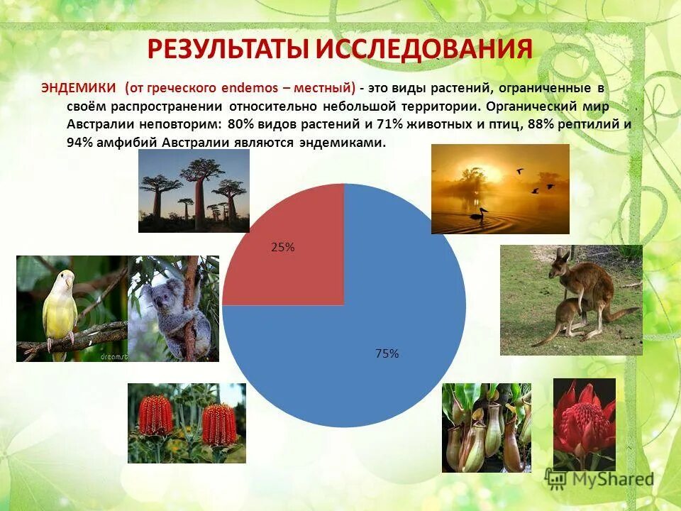 Животные которые живут в северной америке. Утконос яйцекладущие млекопитающие. Малая панда непал. Африканские животные названия. Животные африки для де.