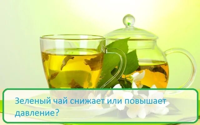 Какой чай лучше пить при высоком давлении. Зелёный чай повышает или понижает давление. зелёный чай для давления повышает или снижает. зеленый чай понижает давление. зеленый чай повышает или понижает.
