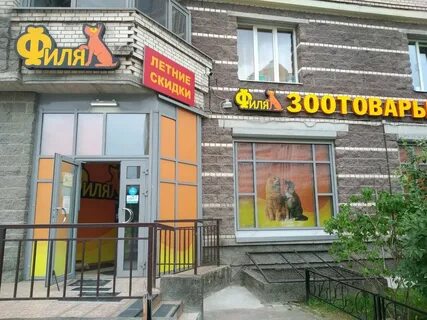 Филя зоомагазин