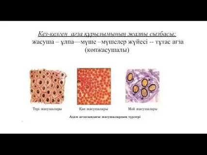 Писканың фотосы