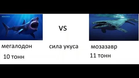 Кто победит мегалодона