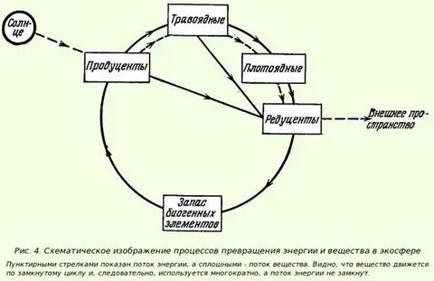 Круговорот водоемов