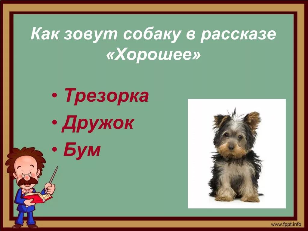 Как звали собаку мальчика. Как звали собаку в рассказе хорошее. Как зовут собак. Как назвать рассказ про собаку. Собаку в рассказе «хорошее» звали:.