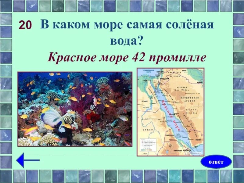 Красное море самое соленое. Какое мое самое салёное. Какие моря самые соленые. Какое море самое соленое.