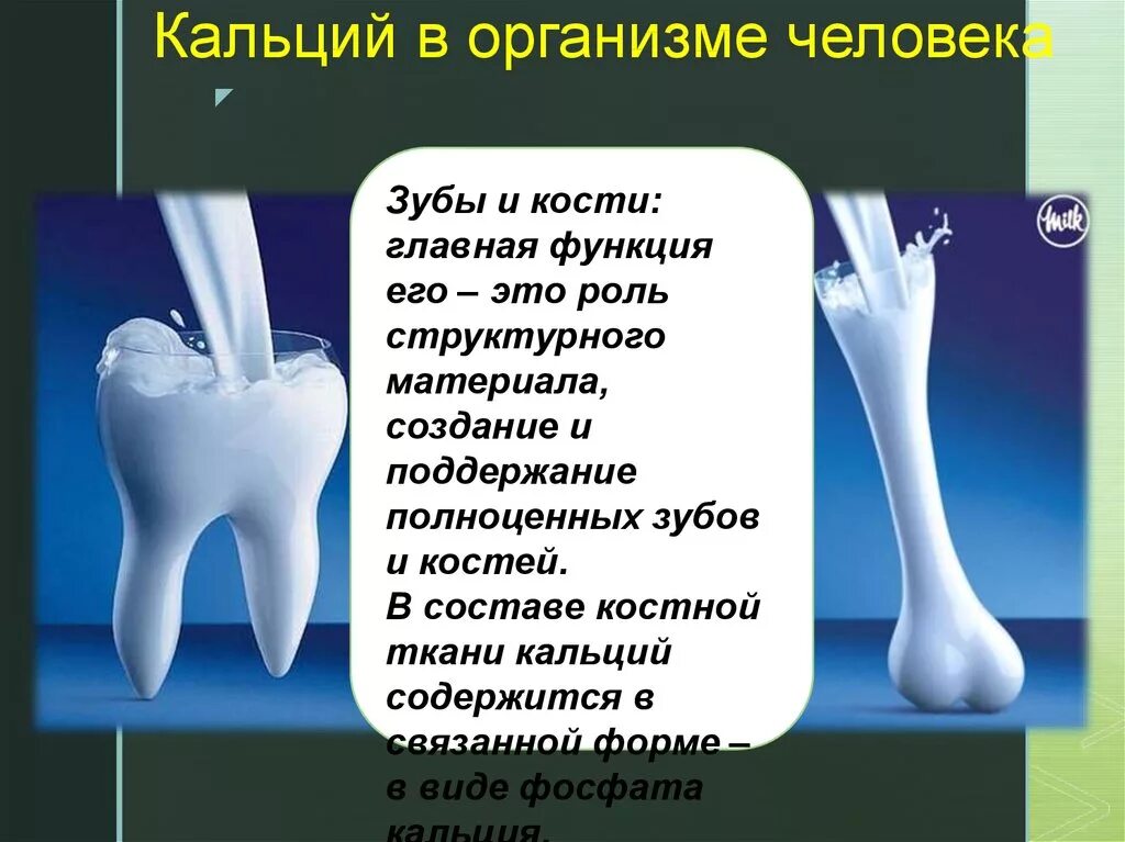 Кальций в организме. Роль кальция в организме человека. Кальций в теле человека. Кальций в организмееловека. Соединения кальция в организме