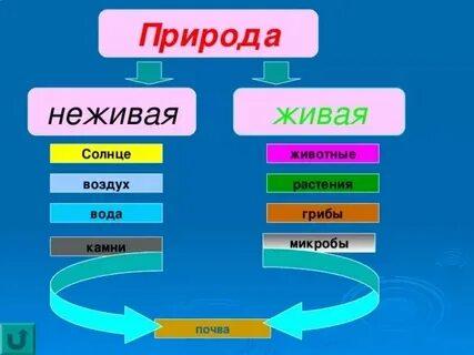 Солнце неодушевленный