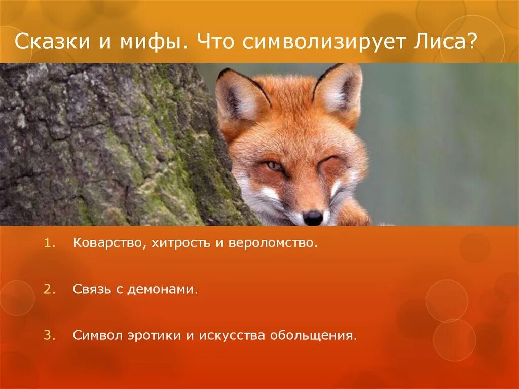 Что символизирует лиса. Что олицетворяет лиса. что символизирует шлиса. что символизируют лисы. что означает символ лисы.