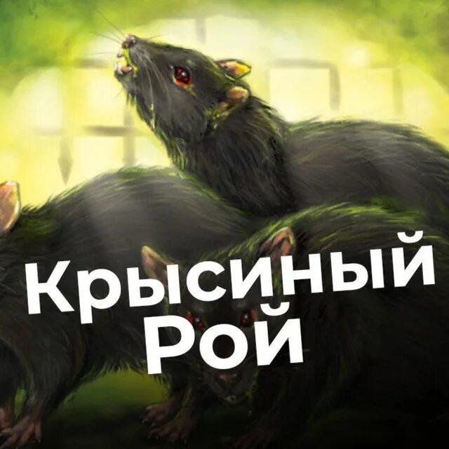 Рой телеграмм. Крысиный рой телеграм. крысиный рой телеграм канал. крысиное ройтелеграмм.