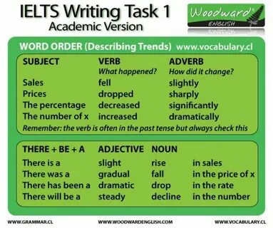 Vocabulary examples