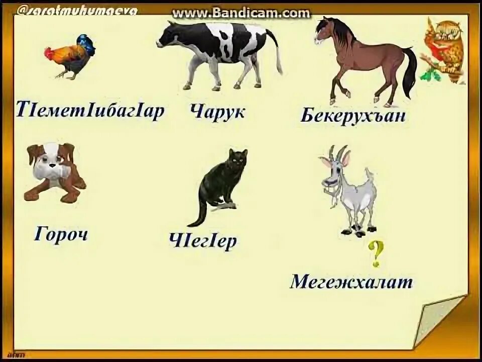 Акха дийнаташ вайн махкара олхазарш 1 класс