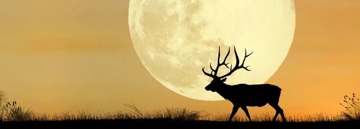 Ooooh! The Harvest Moon Is Coming, and It’s Extra Special (and Sorta Creepy) Thi