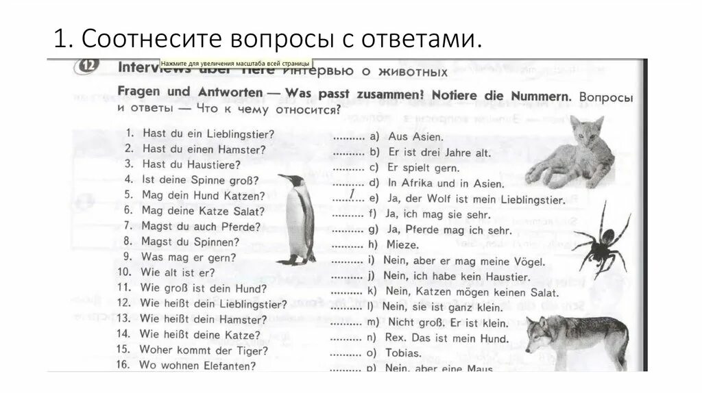 Задания по немецкому. Немецкий задания. Задания по немецкому 5 класс. Занимательные задания по немецкому языку. Немецкий тест 3