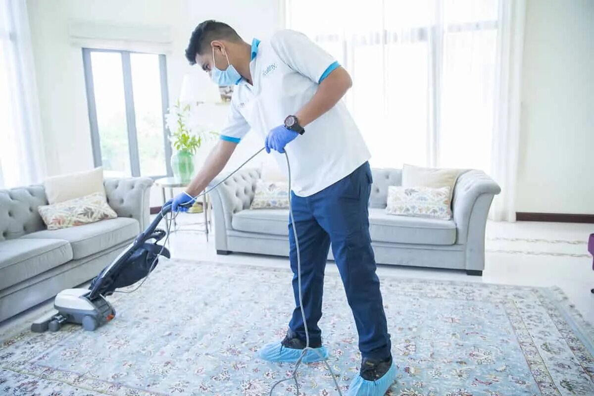 H cleaning. Химчистка ковров. Химчистка дивана. Уборка 2 парня. Odor removal service.