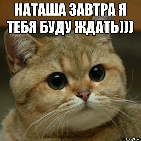 Ждем завтра картинки. Я буду ждать тебя. я буду ждать тебя завтра. я тебя завтра жду. мы ждем тебя.