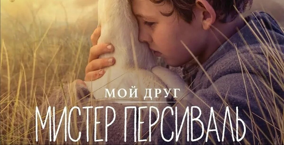 Мой лучший друг мистер. Мой друг мистер персиваль (2019). пеликан персиваль. storm boy мой друг мистер персиваль. мой друг мистер персиваль 2025.